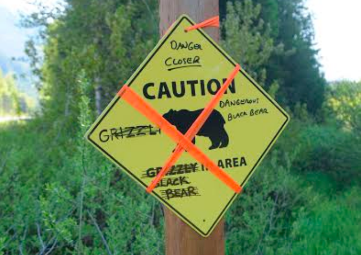 Jogger narrowly escapes predaceous Black Bear during trail run near Hills