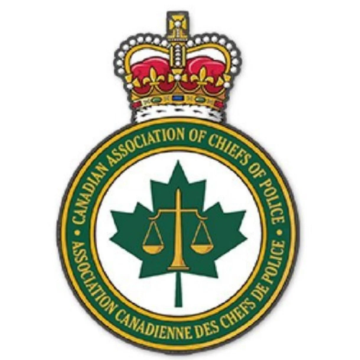 Canadian Association of Chiefs of Police speaks to unrest in the wake of George Floyd's death