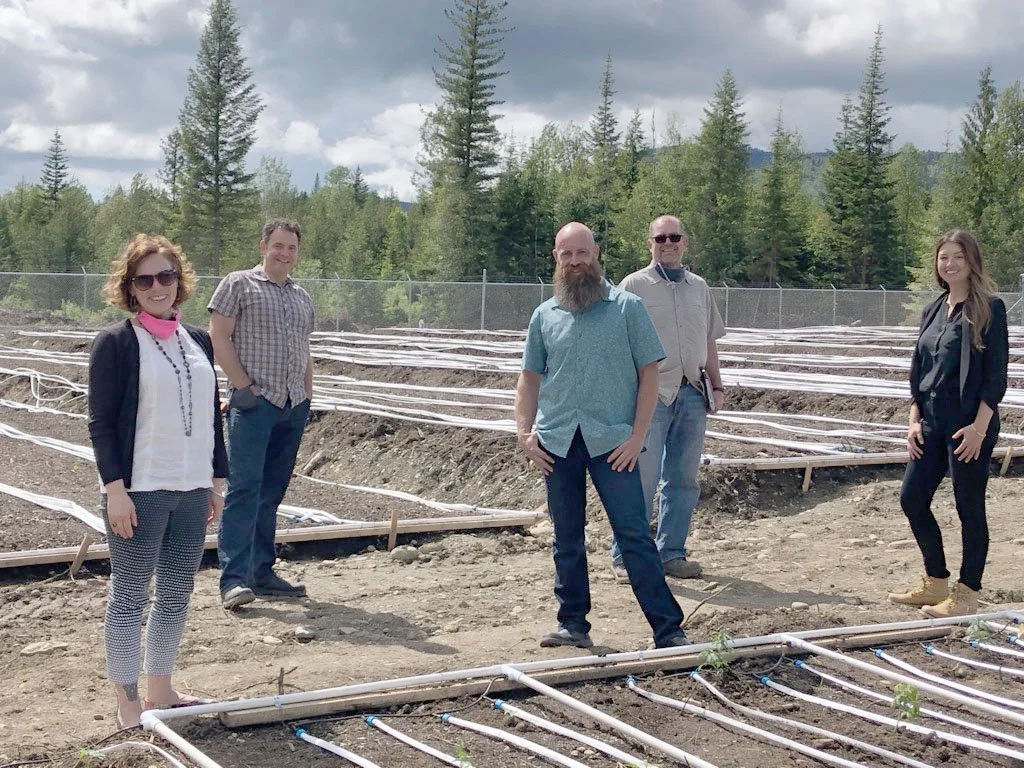 New resource assists cannabis producers to enter legal market