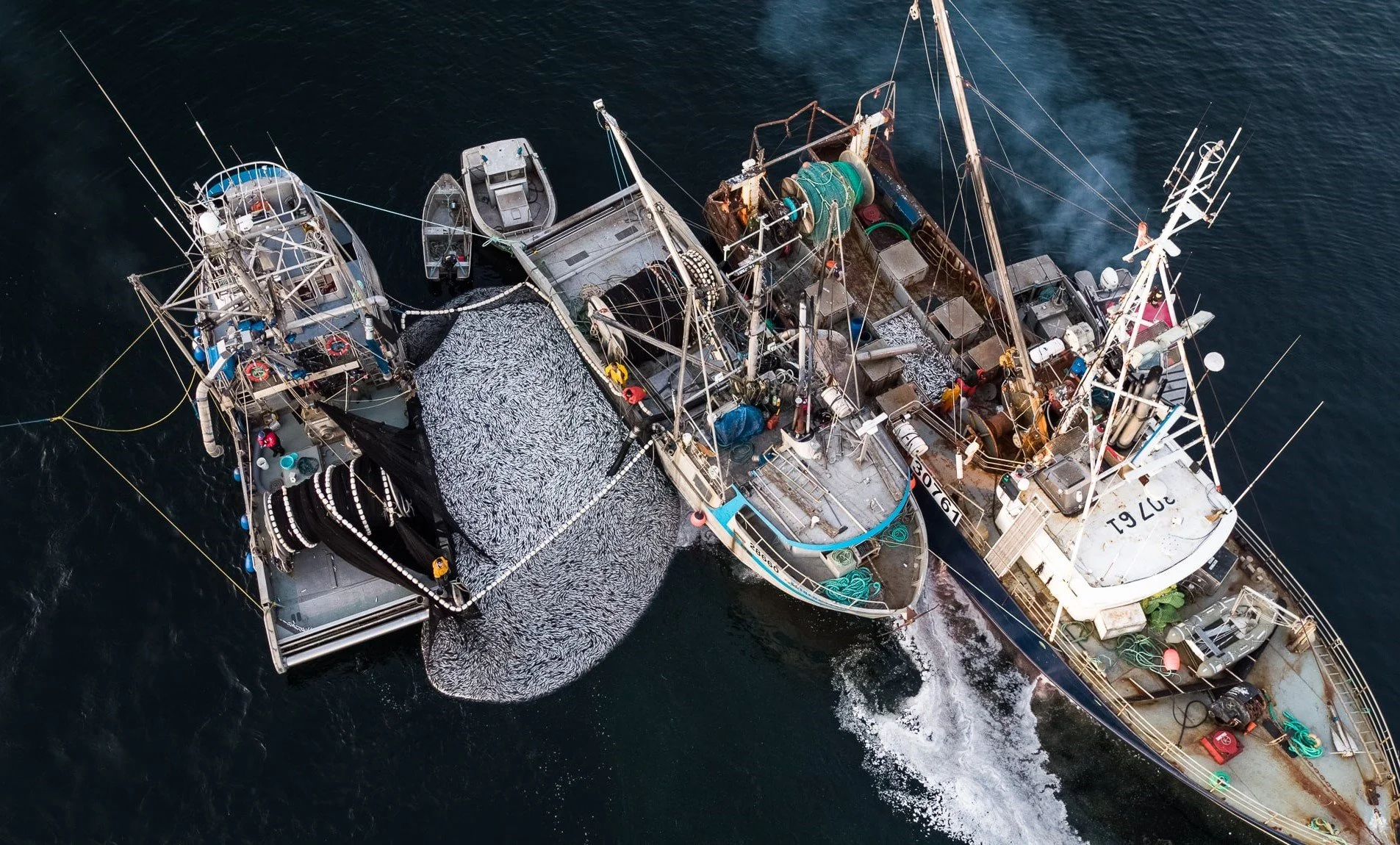 Closing Canadian fisheries would help rebuild stocks and lead to economic gains: study