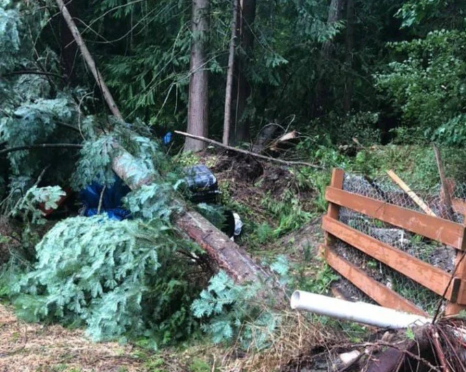 UPDATED: Small distribution lines throughout the region still have significant damage — FortisBC