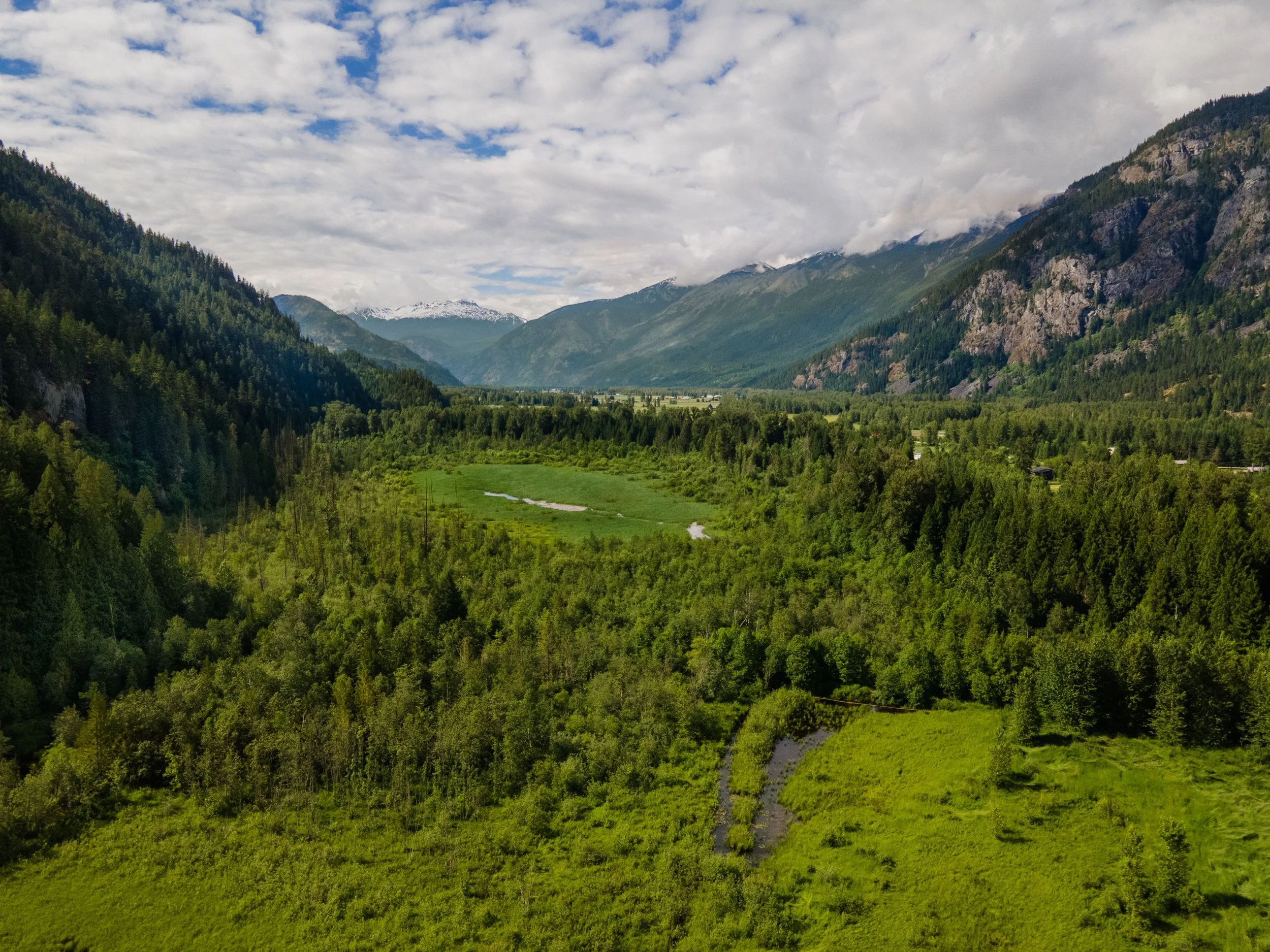 At-risk population of grizzly bears to benefit from successful conservation initiative in Pemberton Valley