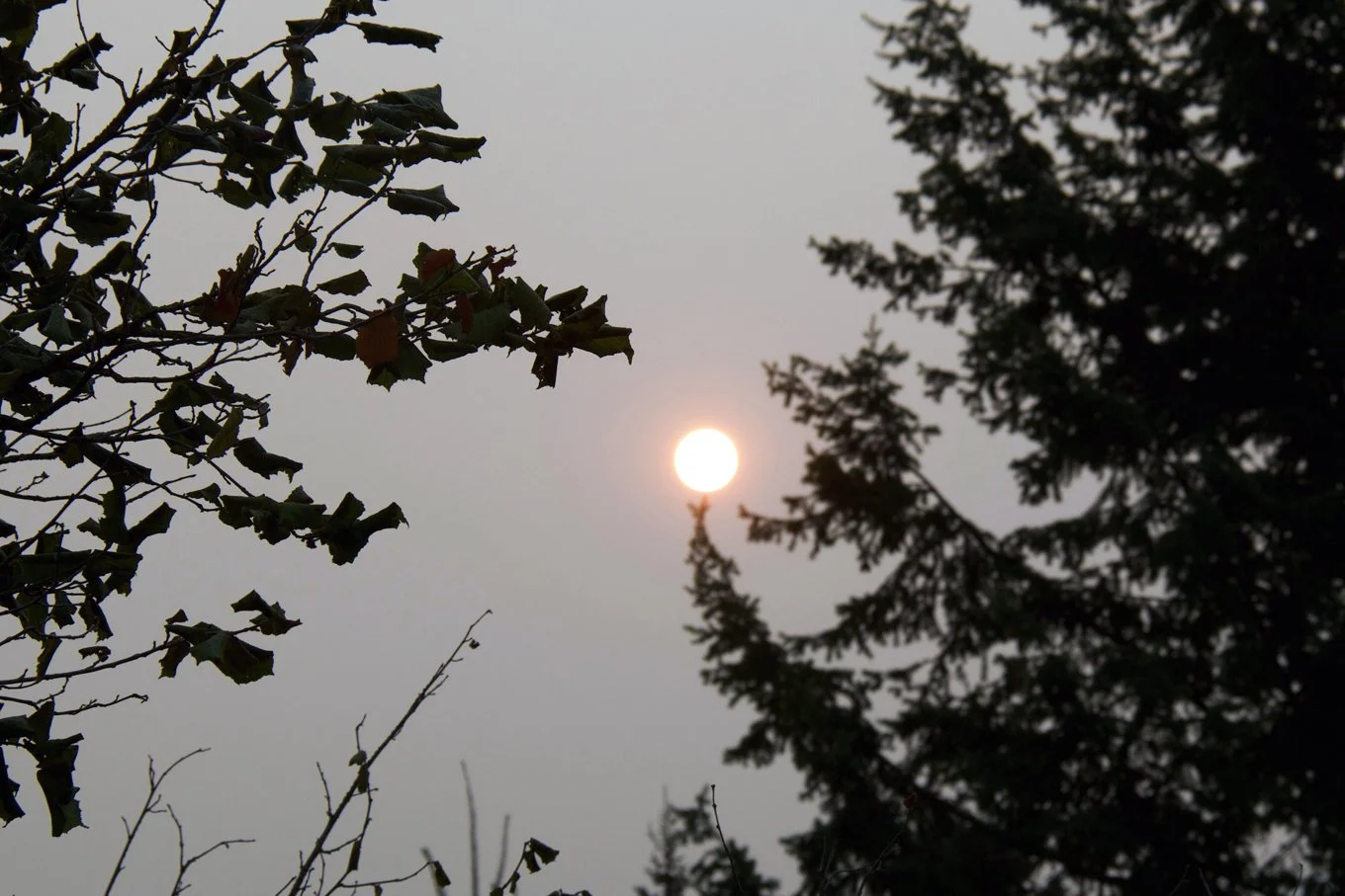 UPDATED: Special air quality statement remains for West Kootenay, Boundary
