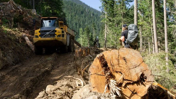 Editorial rant: Caribou, moose, wolves, and government obtuseness