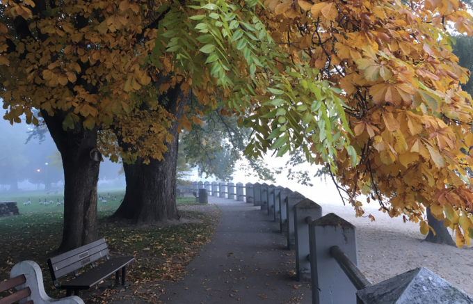 Nature Conservancy of Canada encourages the public to forget about those dreaded leaves