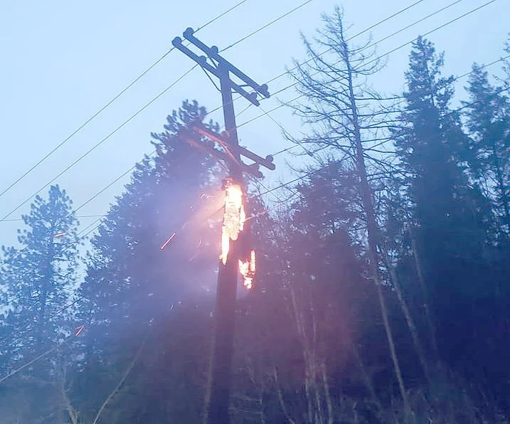 UPDATED: Tree falling against power pole cause of major disruption to hydro, internet