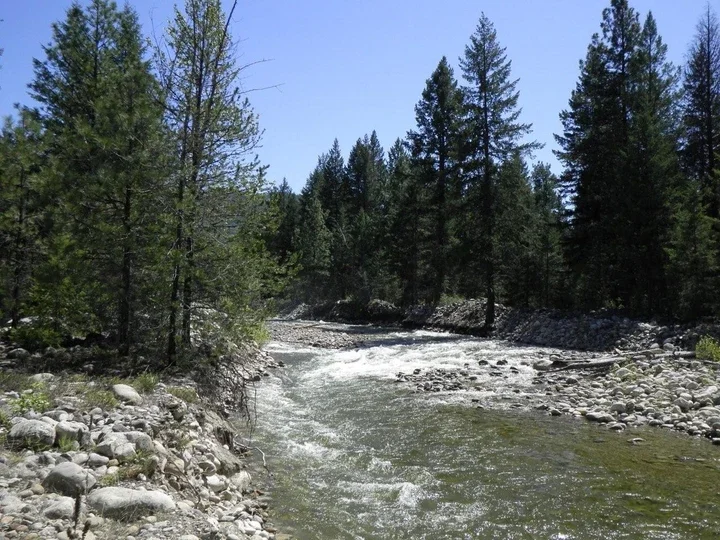 Logging in Lynch Creek North is underway