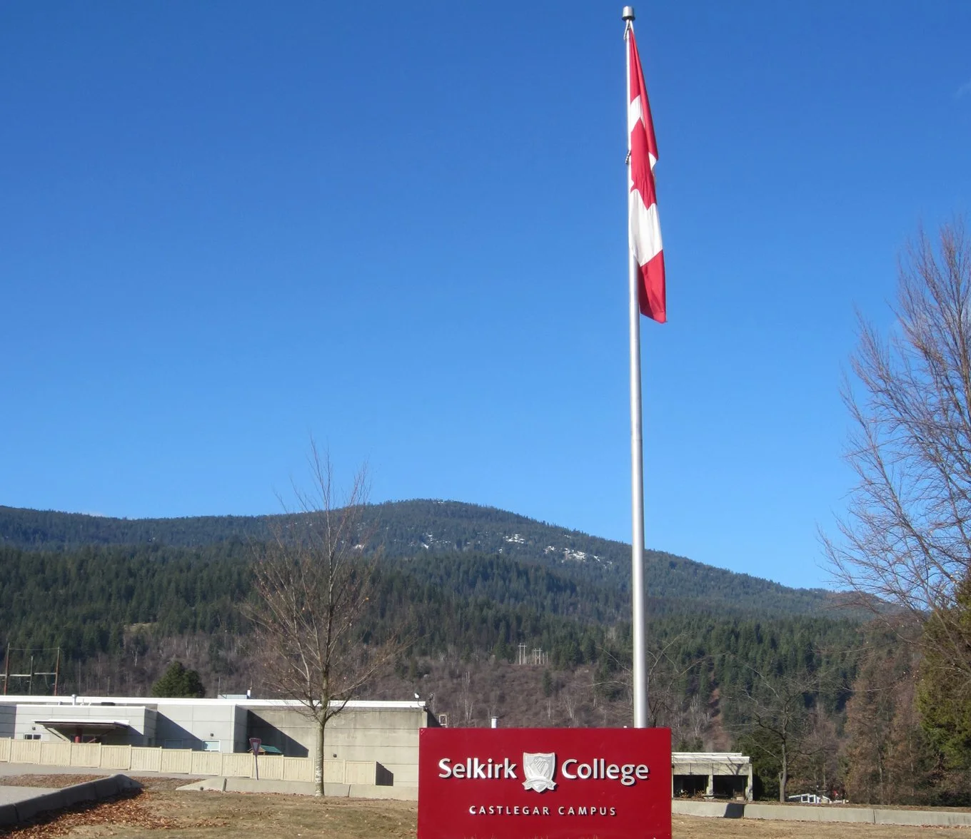 Preventing and responding to sexual violence on campus