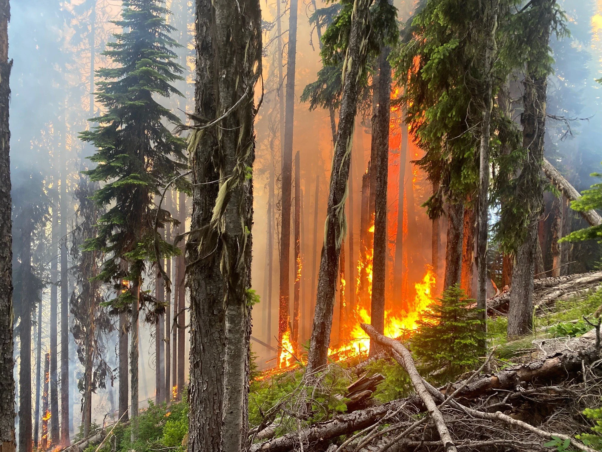 BC Wildfire Service crews battle lightning-caused wildfire north of Balfour
