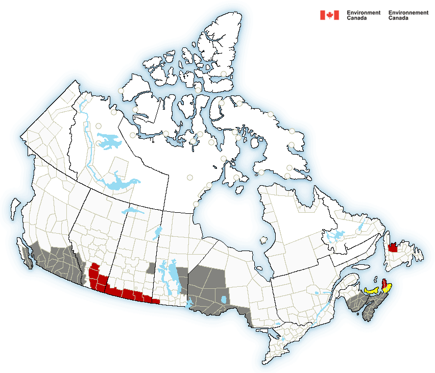 Heat warning for B.C., people urged to take precautions
