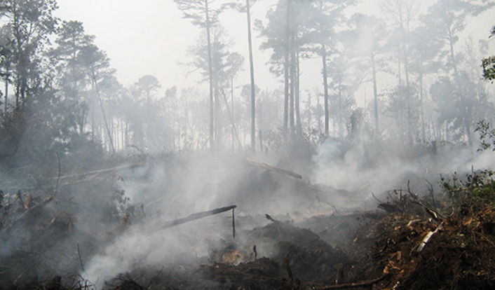 Burning ban, state of emergency ends to signal final stages of wildfire season