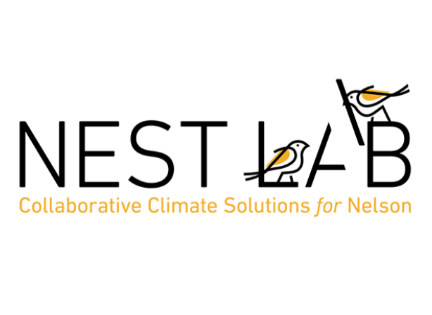 Council call for cash comes in support of climate change action and Nest Lab