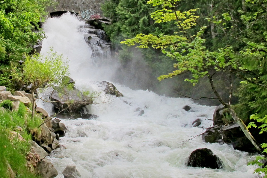 Current of restoration flows through council over Cottonwood Creek