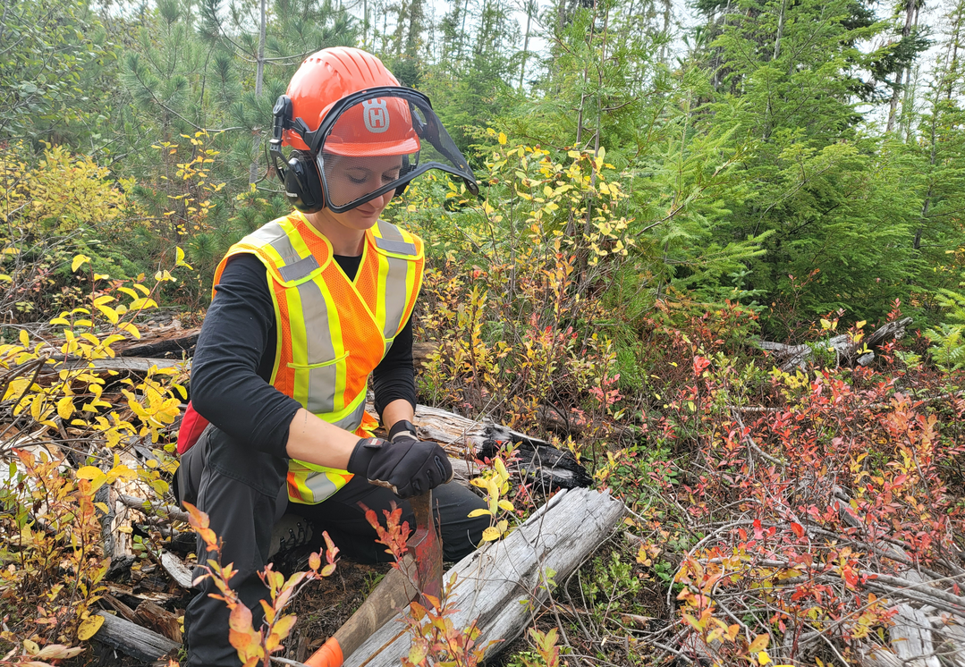 Agroforestry project attempts to slow threat of wildfire in Kootenay region