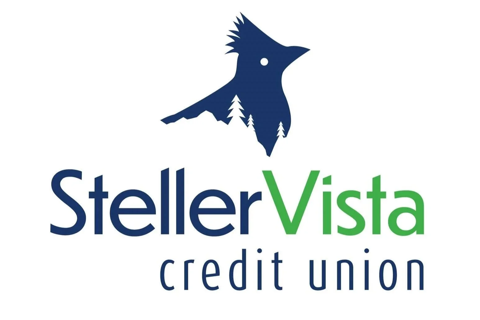 StellerVista expands student awards to West Boundary for first time
