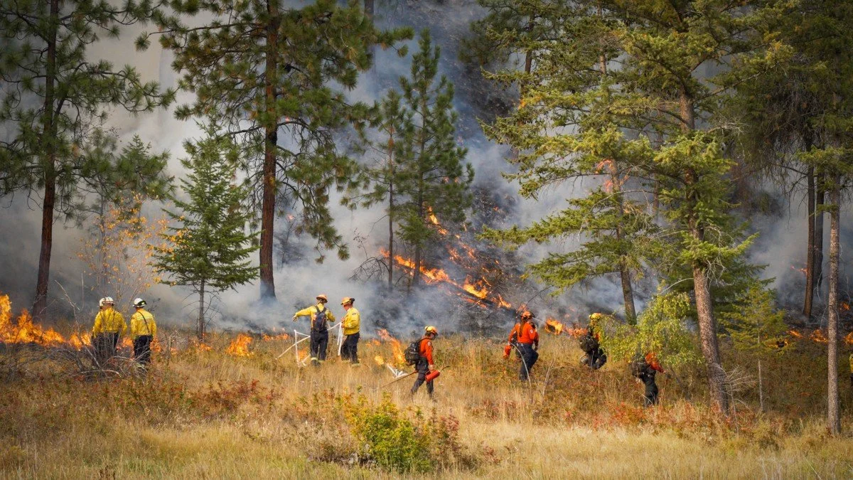 Kelowna-area prescribed-fire training exchange begins with six candidate burn sites