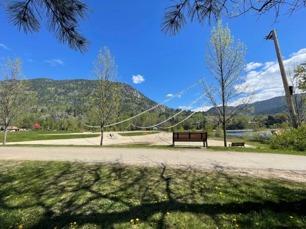 Castlegar tests new measures to tackle recurring algae at Millennium Park ponds