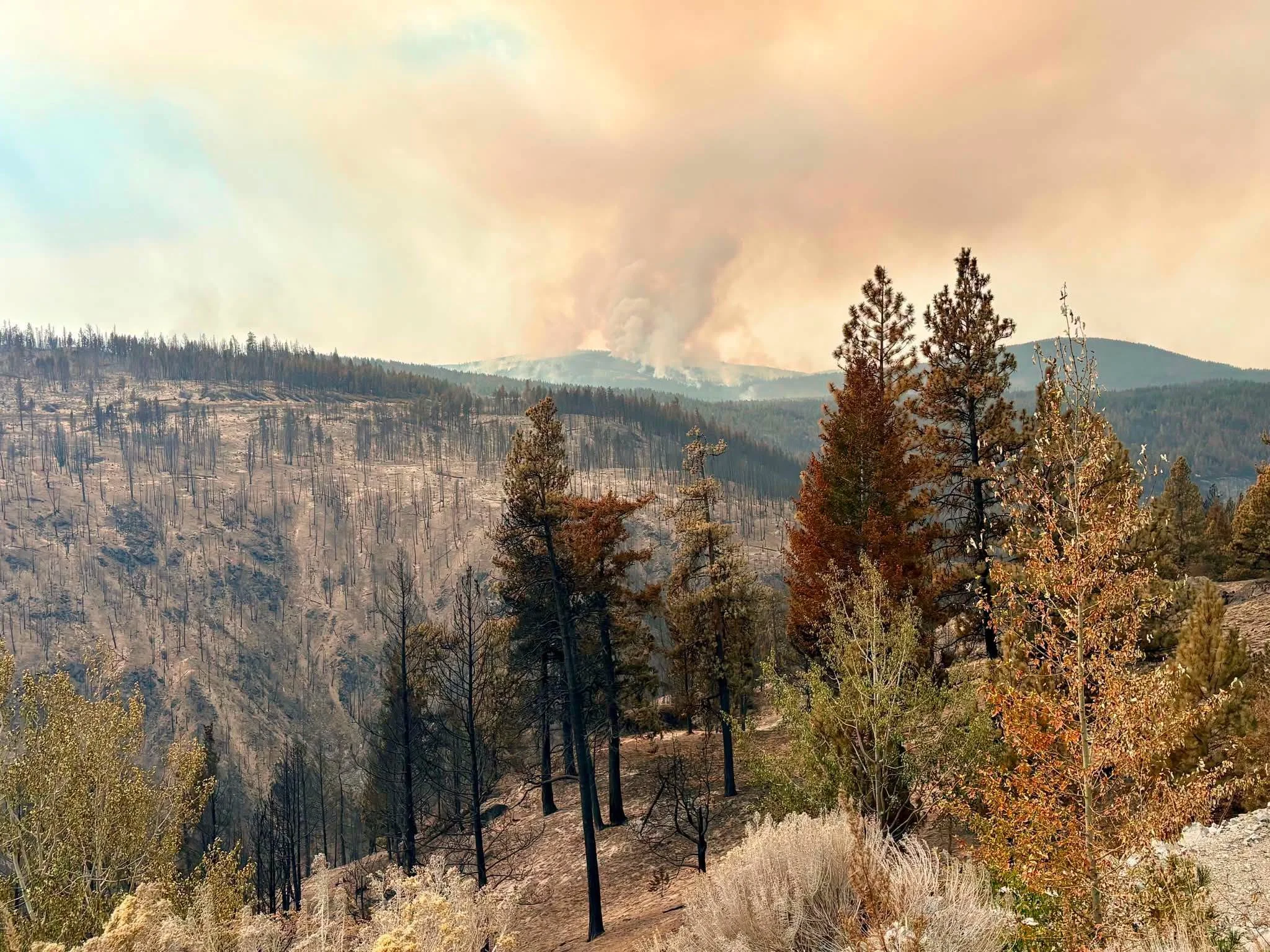 Nearly 150 properties classified as destroyed after Bald Range wildfire
