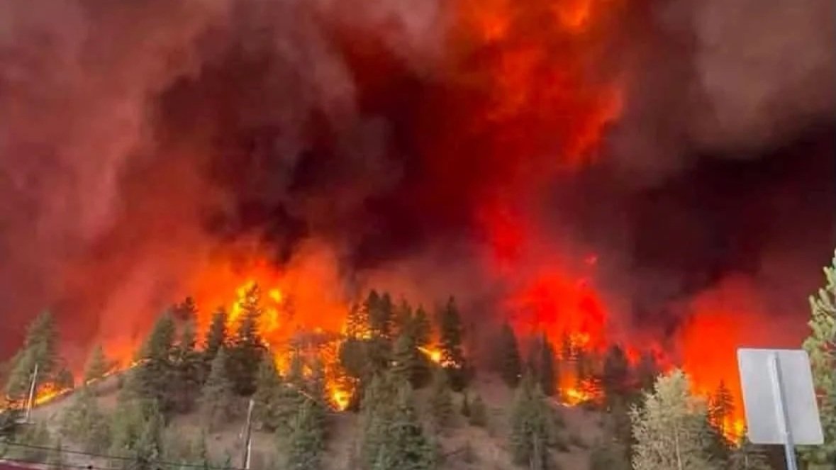 B.C. declares state of provincial emergency as wildfires drive mass evacuations