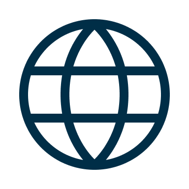 A blue globe icon representing global connectivity or worldwide reach.