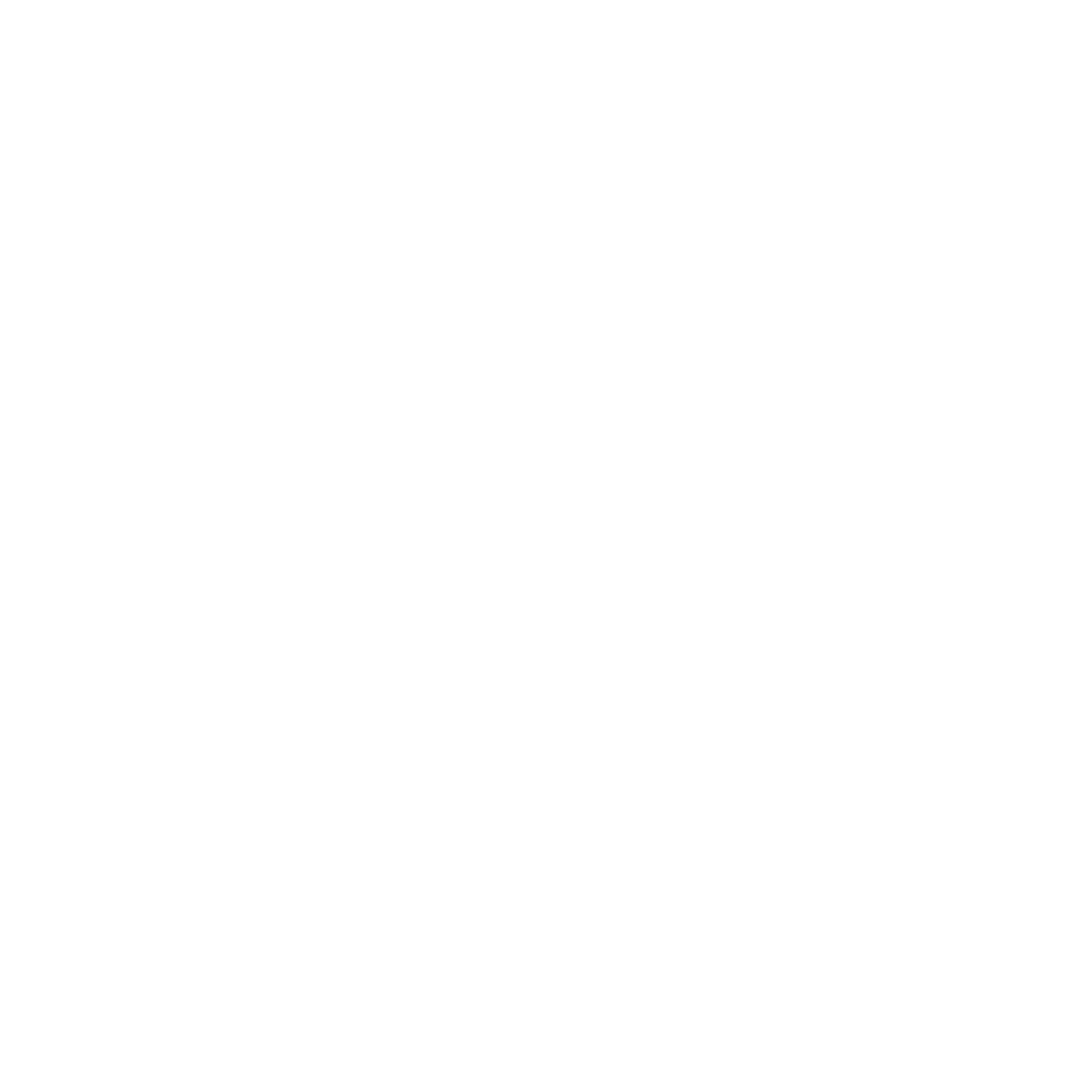 Beyond The Four Project