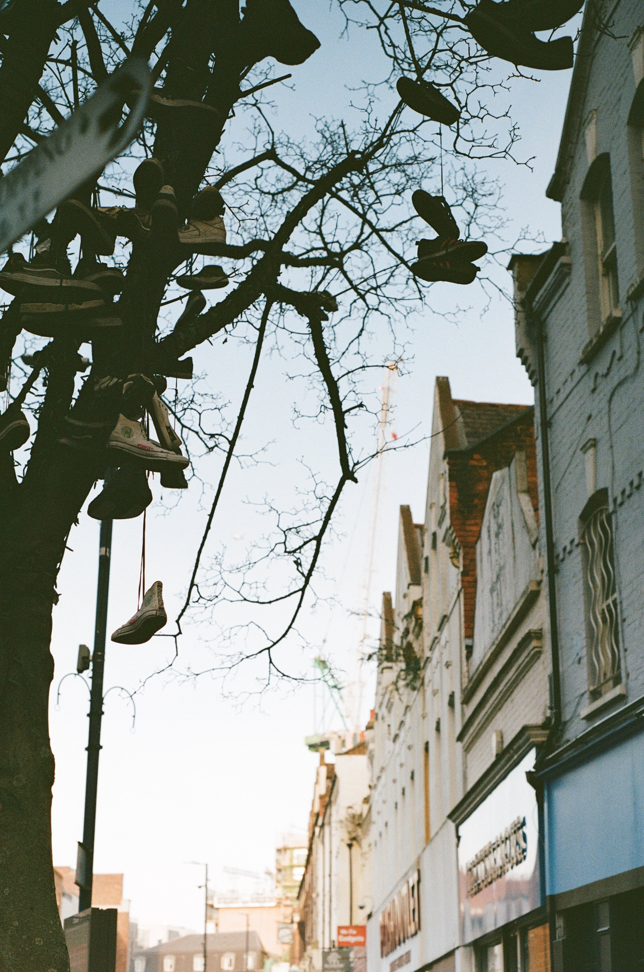Sidewalk view of a city street with old multi-story buildings, leafless trees, and sneakers hanging from branches, under a clear sky.