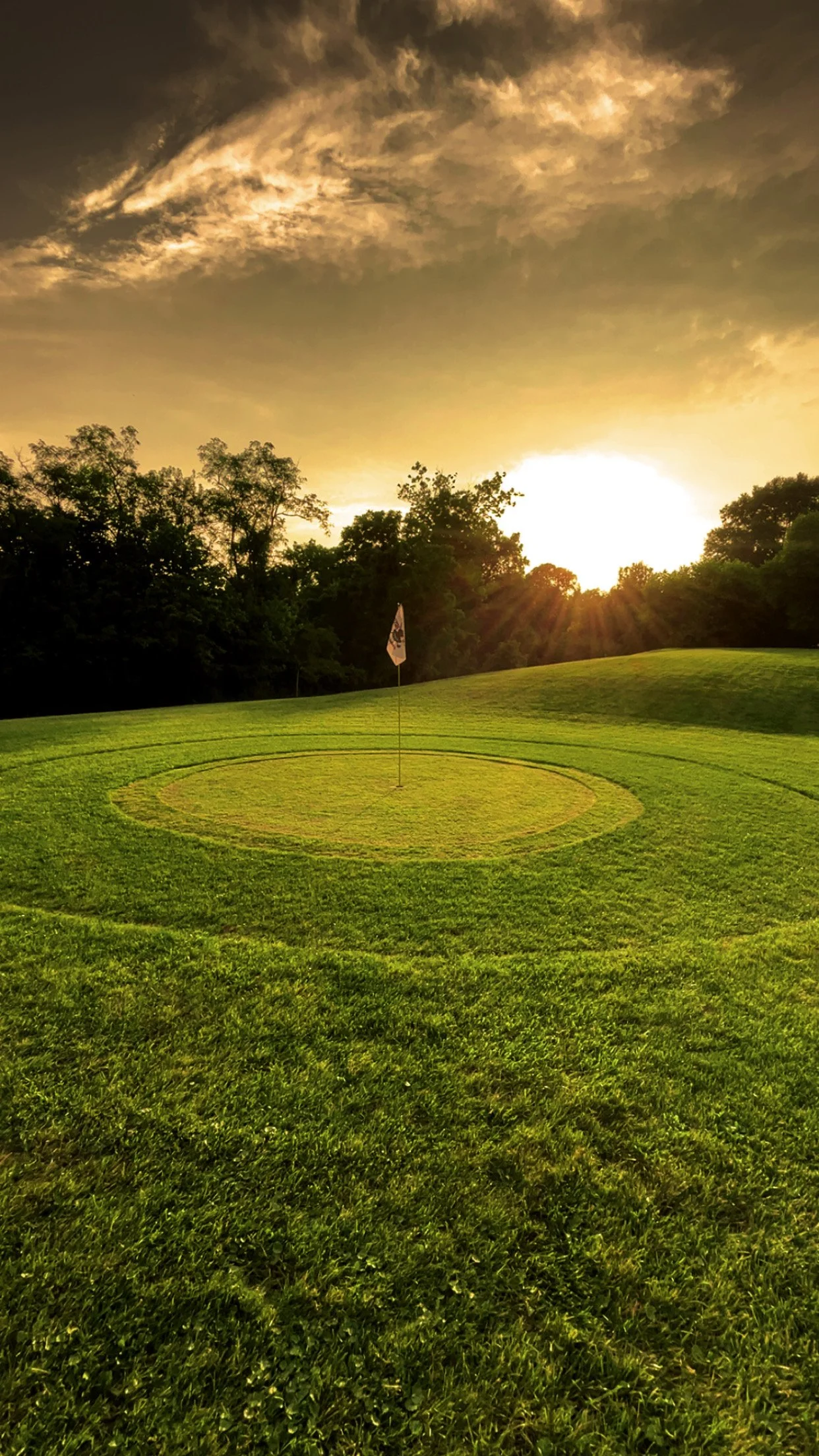 Blackberry Trail: Course Design & Brand Identity
