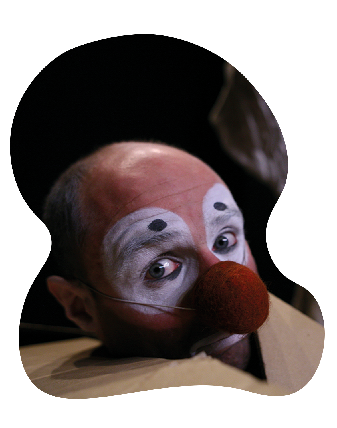 Clownduo Okidok mit HAHAHA, der Kopf eines Clowns mit roter Nase schaut durch einen Karton