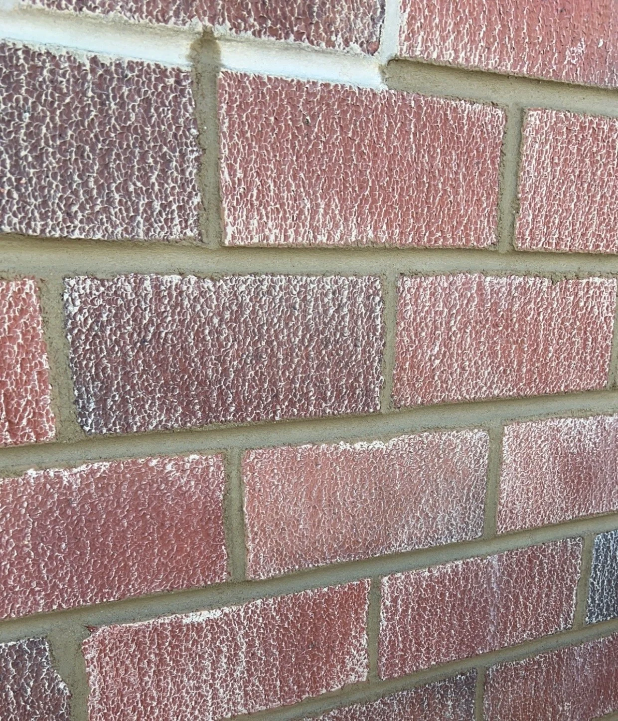 Close-up of a red brick wall with textured surface and light gray mortar between the bricks.