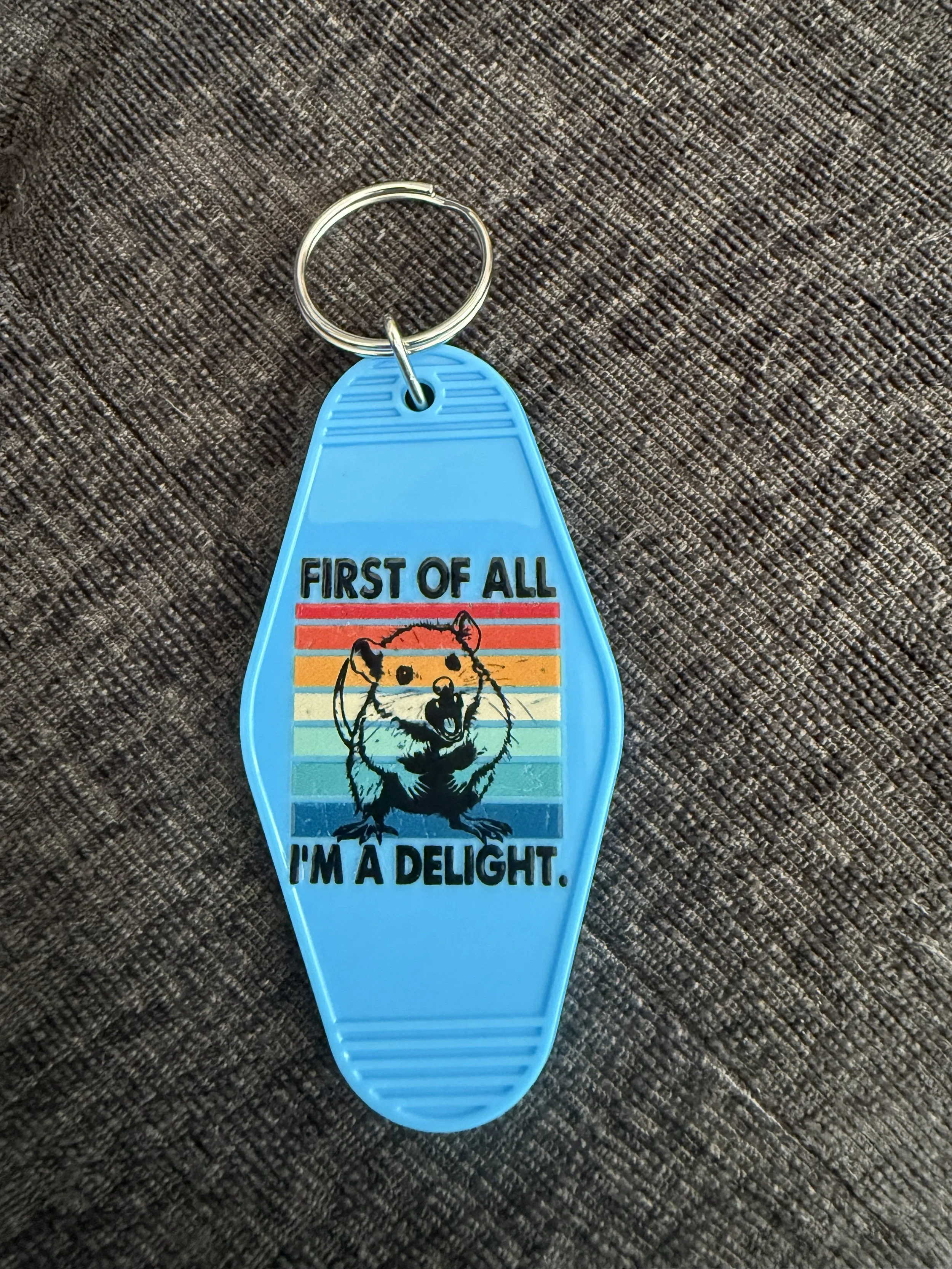Delightful Retro Motel Keychain