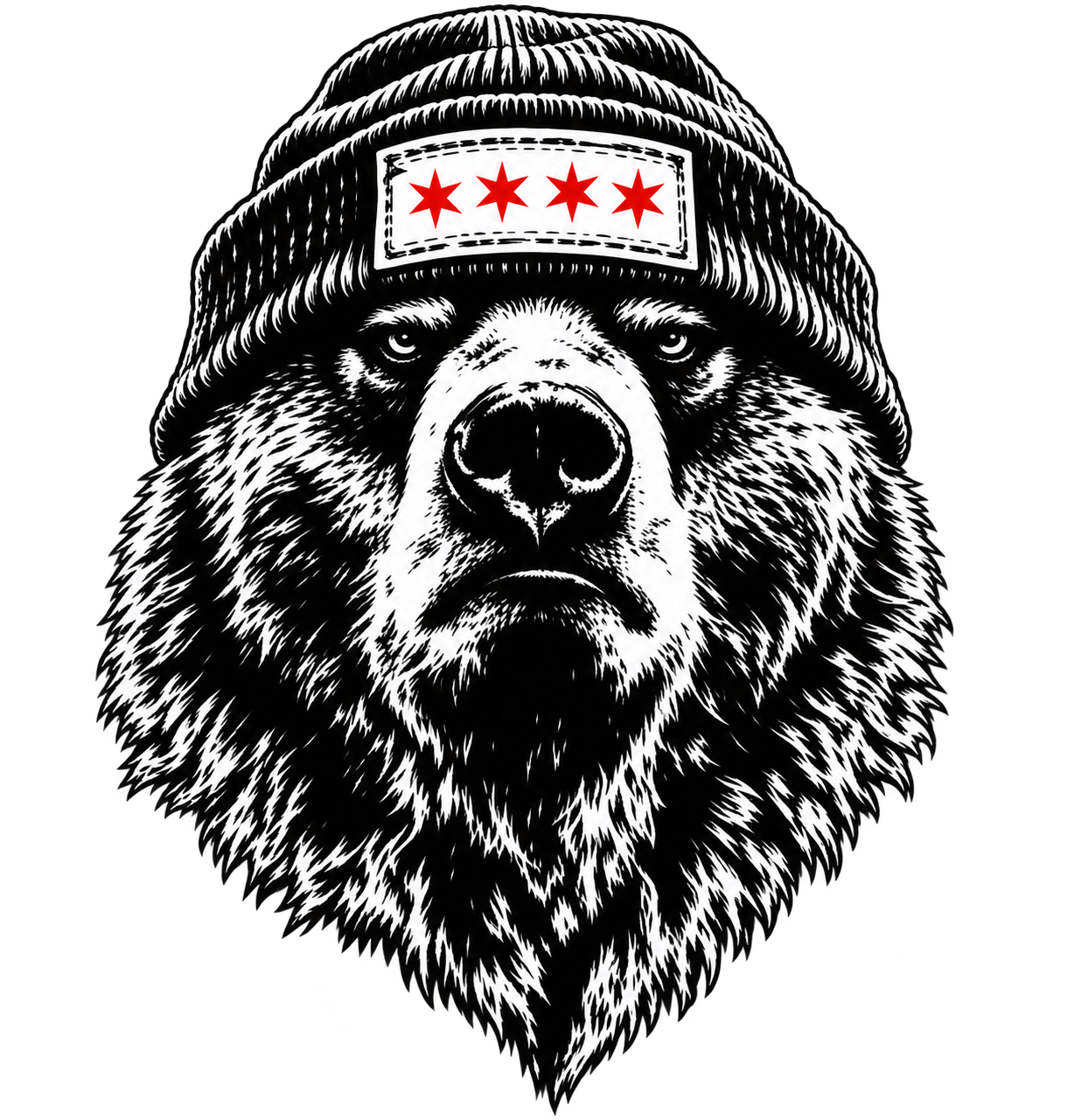 Bears Design