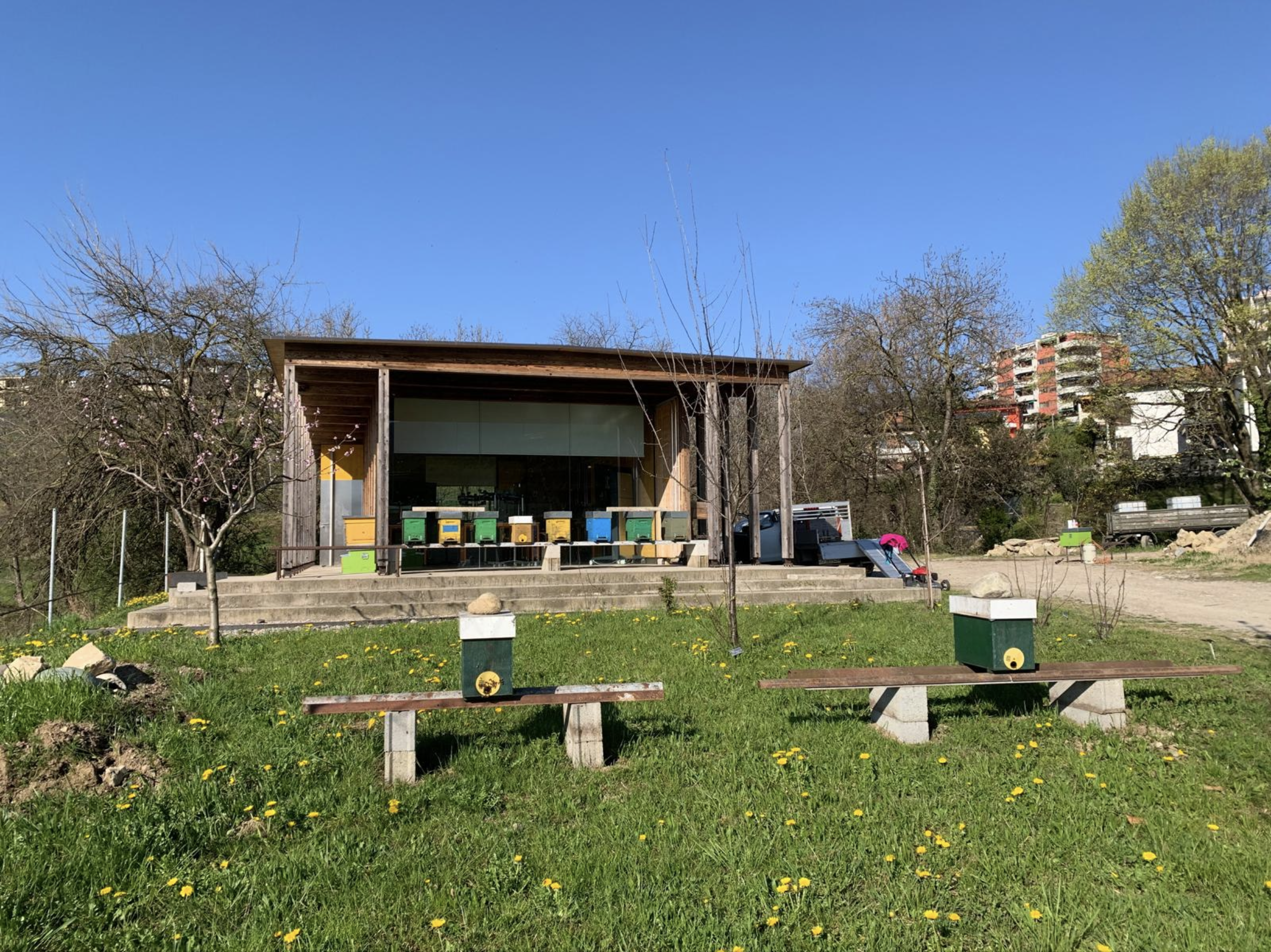 Un'area all'aperto con piccole case dell'apicoltura, alberi spogli e un edificio moderno con grandi vetrate, sullo sfondo un cielo azzurro e alcuni edifici residenziali.