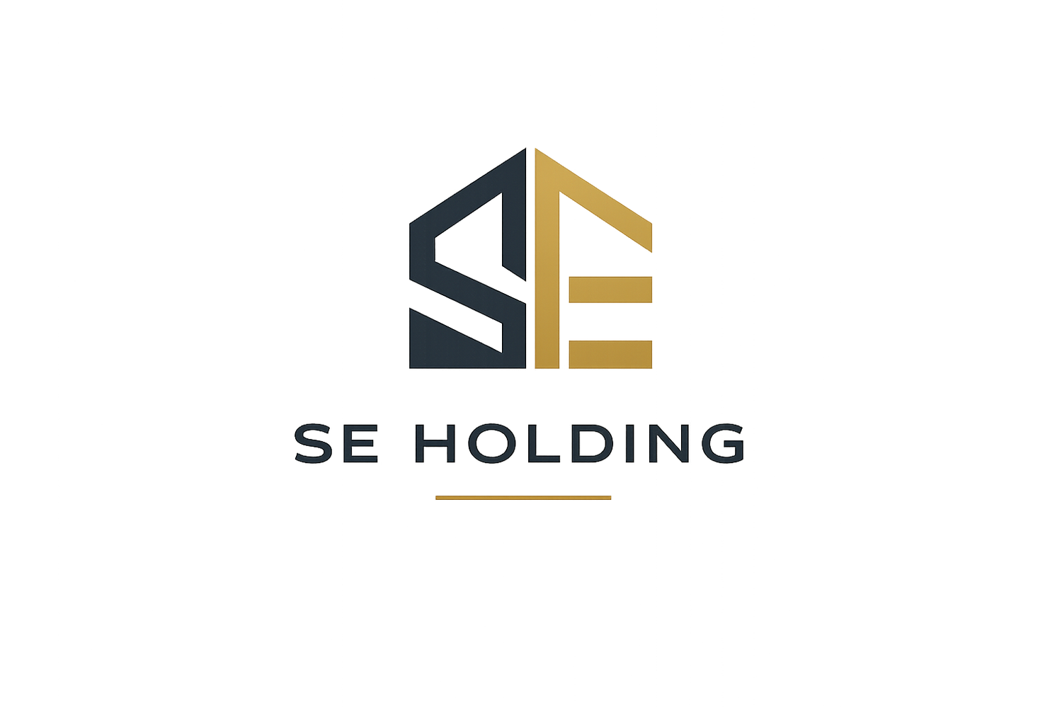 SE Holding B.V.