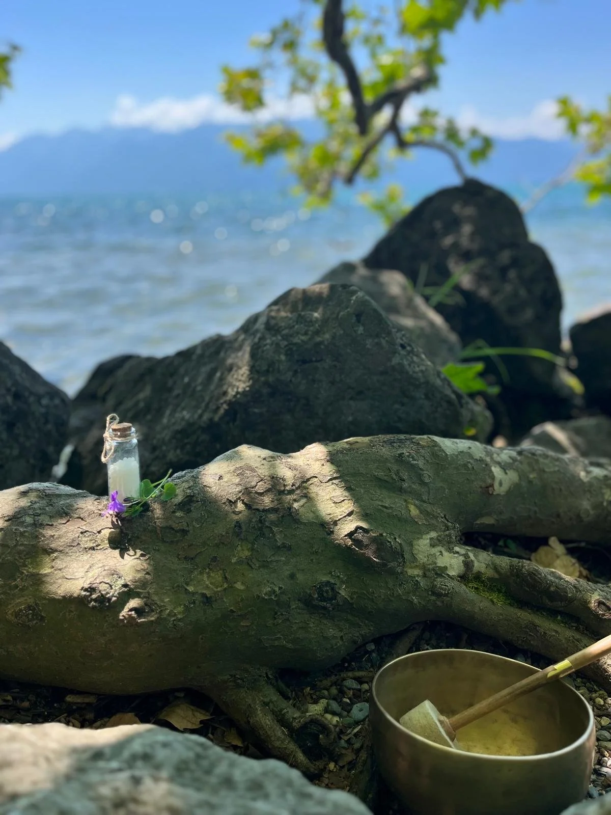 Une scène naturelle avec des rochers au bord de l'eau, un petit vase de verre avec une étiquette et une fleur violette à côté, une soucoupe en métal avec une cuillère en bois, et un arbre en arrière-plan sous un ciel bleu avec des nuages.
