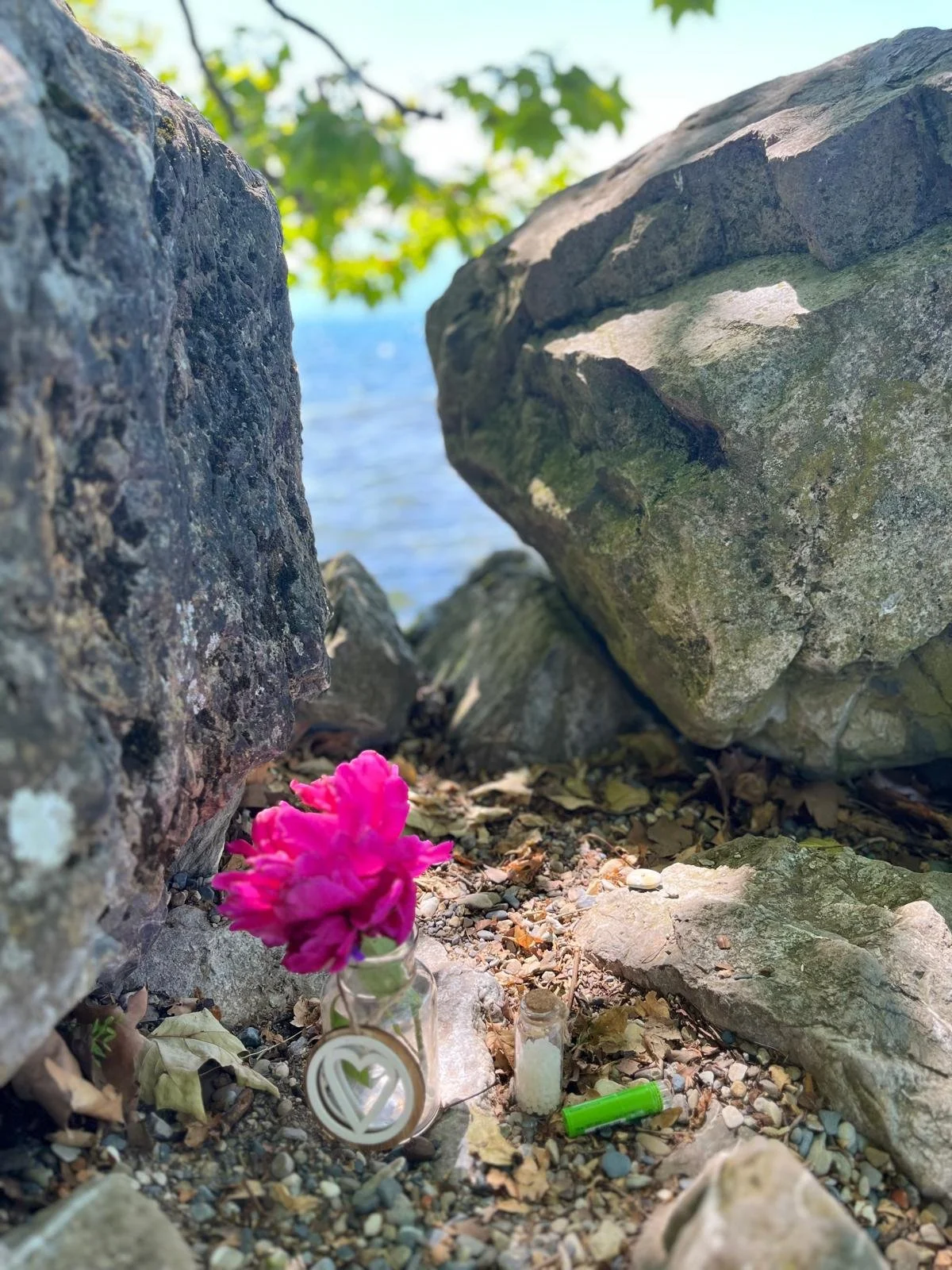 Une photo montrant des pierres et des gravillons au sol avec une mer en arrière-plan, une branche avec des feuilles vertes en haut, et une fleur rose dans un petit vase en premier plan.