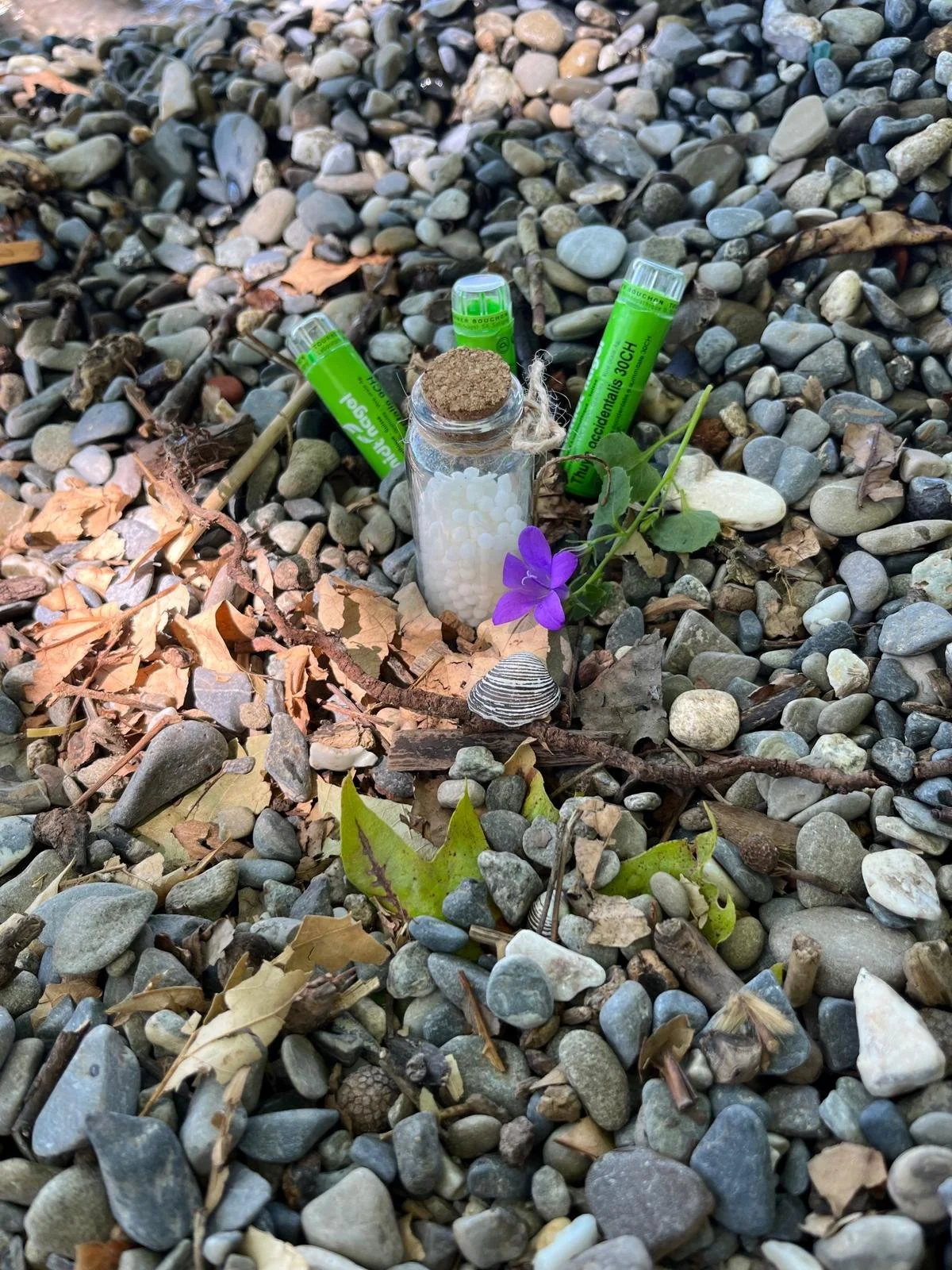 Un petit trésor végétal et minéral posé sur des cailloux, avec une fleur violette, deux tubes de crème solaire et un petit flacon avec du sel, entourés de feuilles et de brindilles mortes.