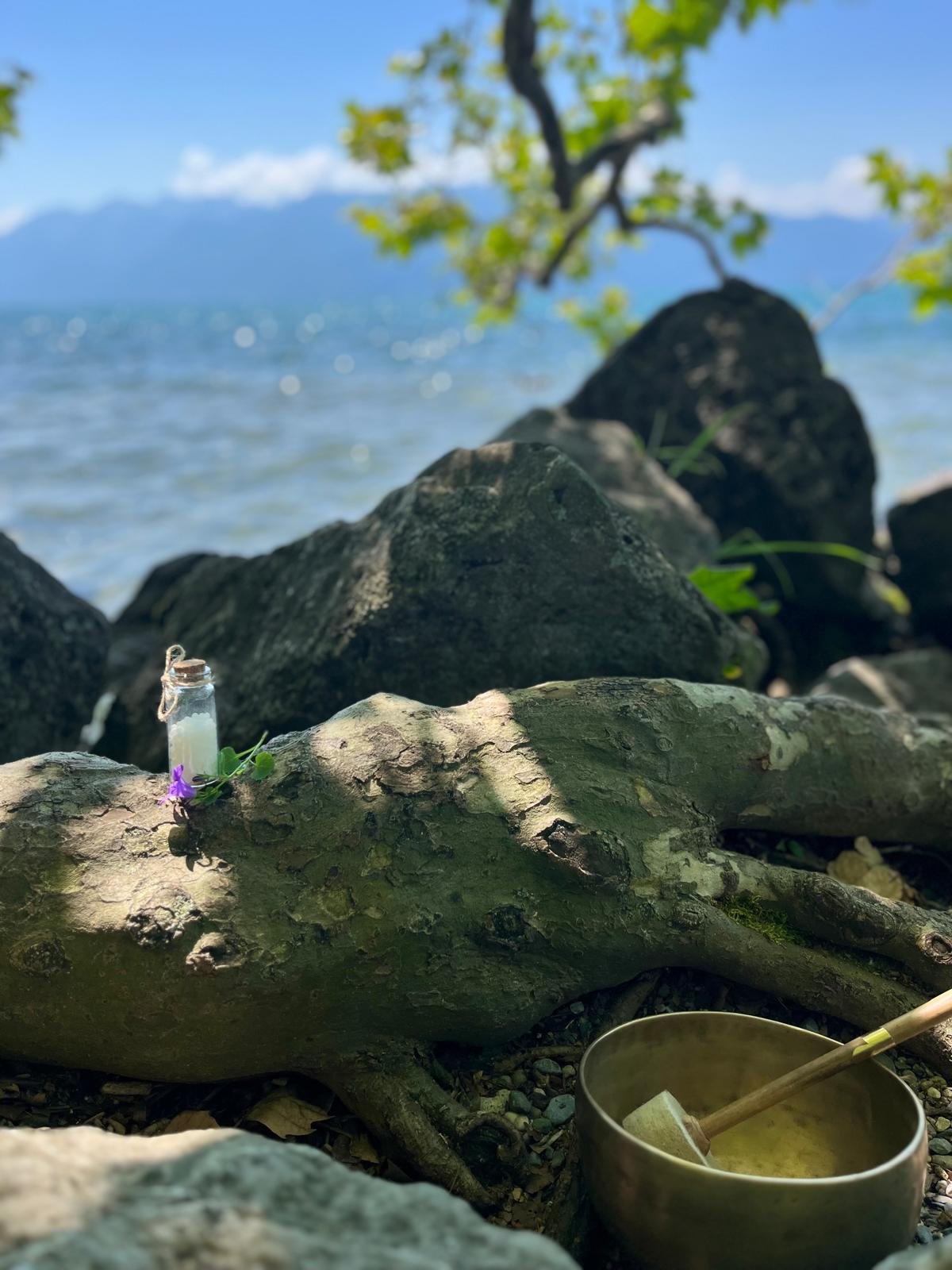Une scène de nature avec des rochers, un arbre, la mer et des montagnes en arrière-plan. Sur une branche, il y a une petite bouteille avec un ruban, une fleur violette et des feuilles vertes. Au premier plan, il y a un récipient en métal avec un bâton de mixeur ou de fouet à l'intérieur.