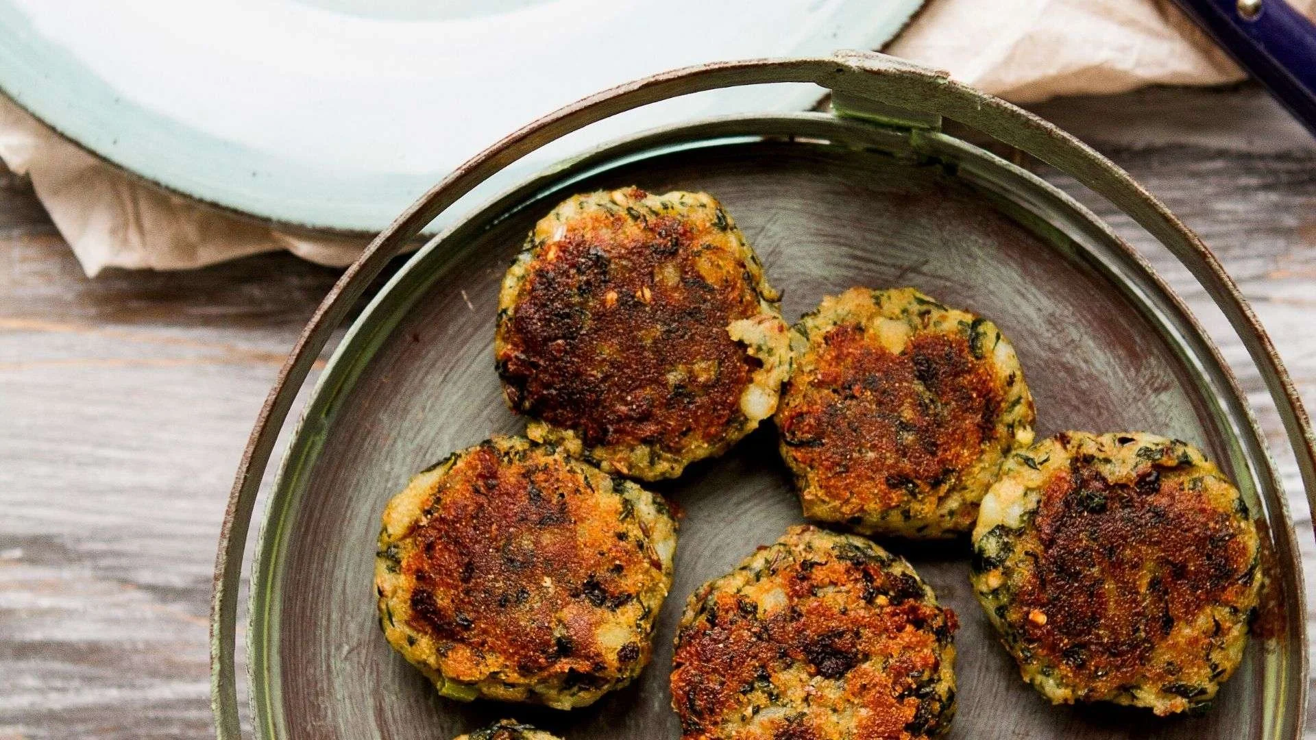 Turkey Galuti kebab