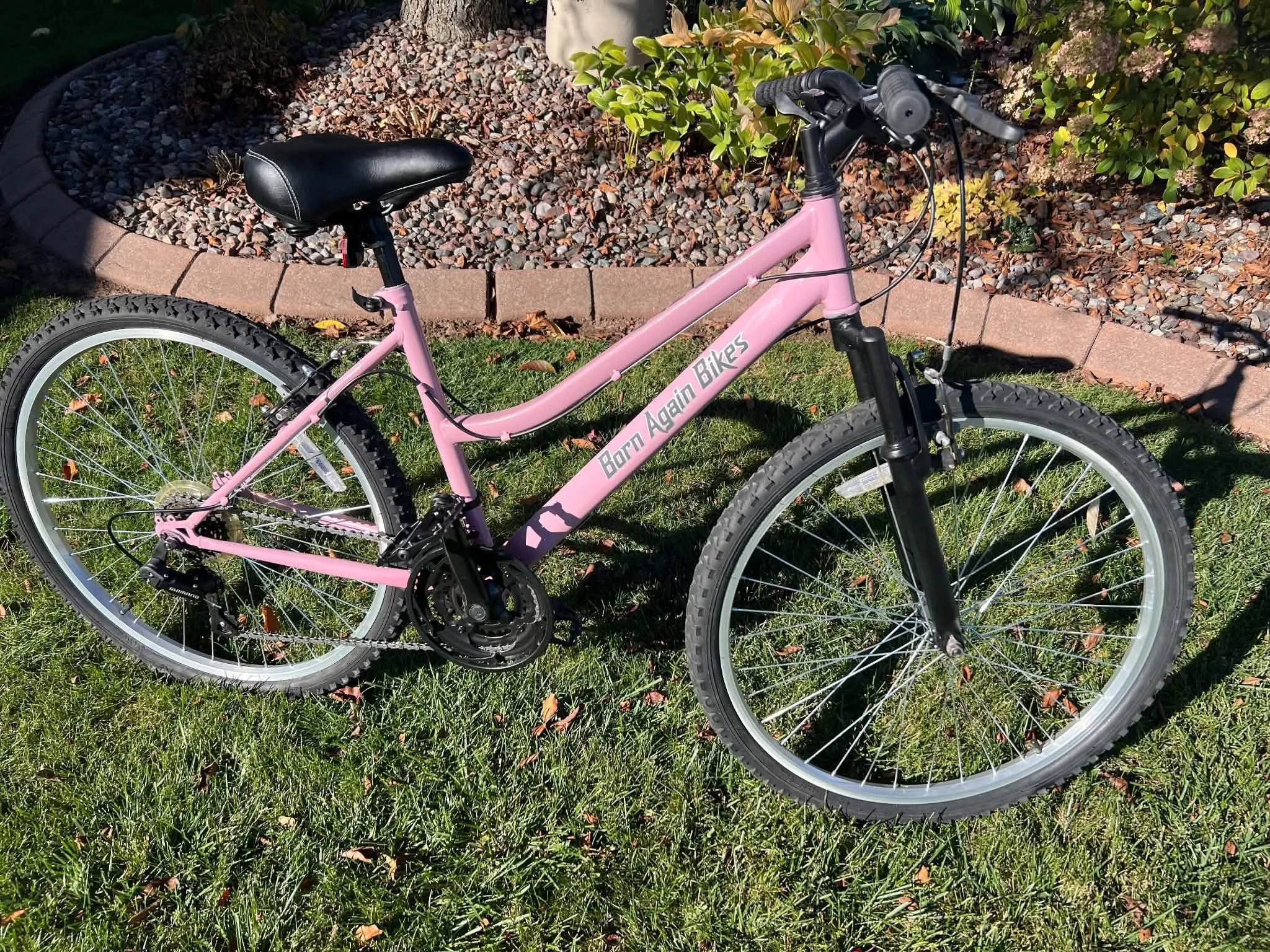 BAB Pink Bike.jpg