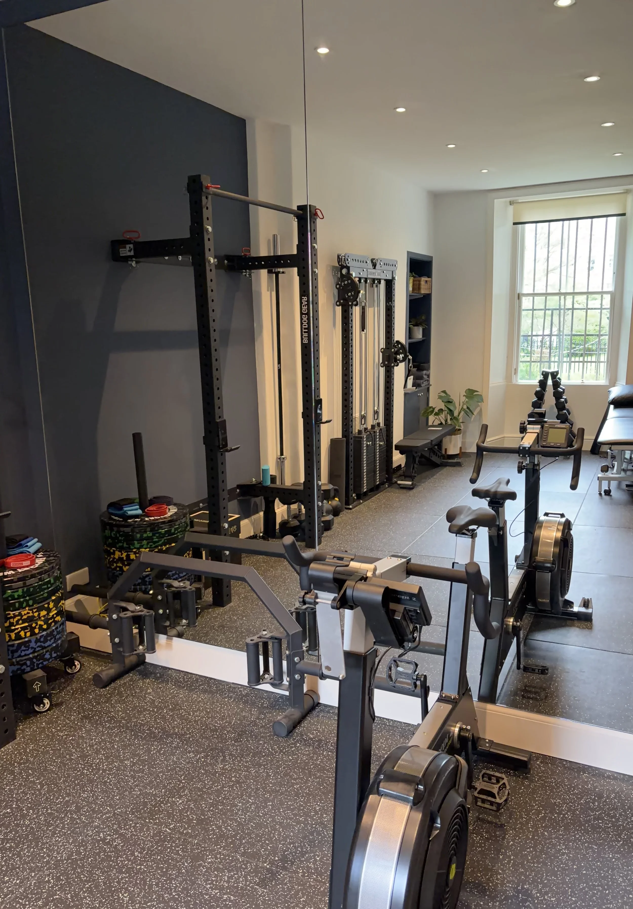Home gym with various fitness equipment, including weights, rowing machine, and pulley machines, near a large window with bars.