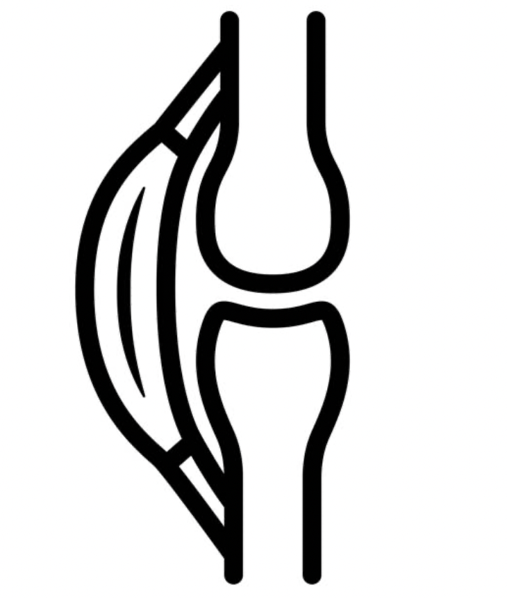 Line drawing of a human knee joint, including the femur, tibia, fibula, and kneecap.