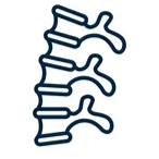An illustration of a human spine showing several vertebrae.