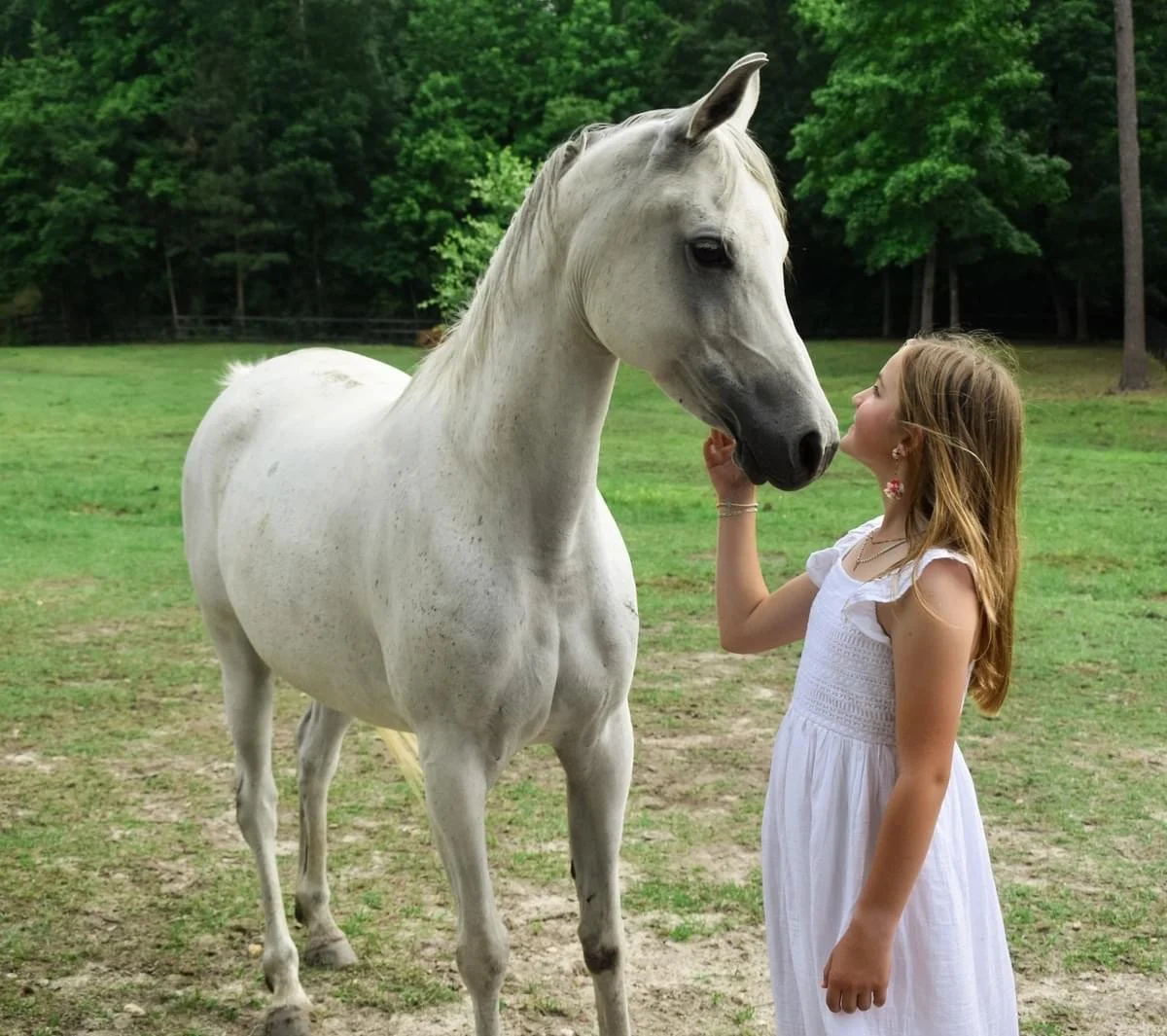A girl in a white dress stands close to a white horse in a grassy field, touching its face.
