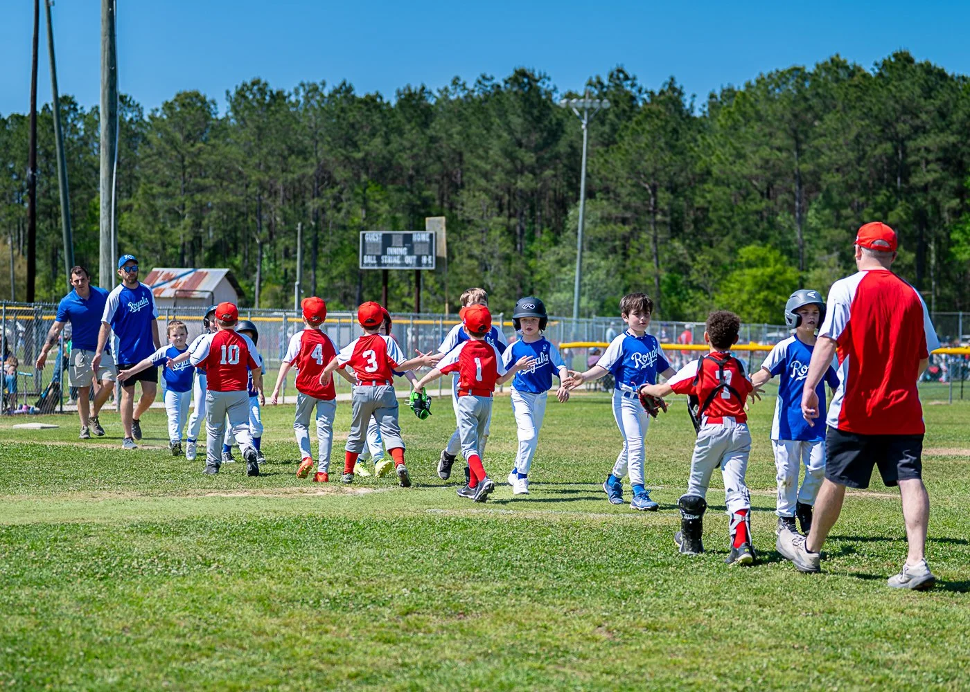 Baseball Team Sponsor