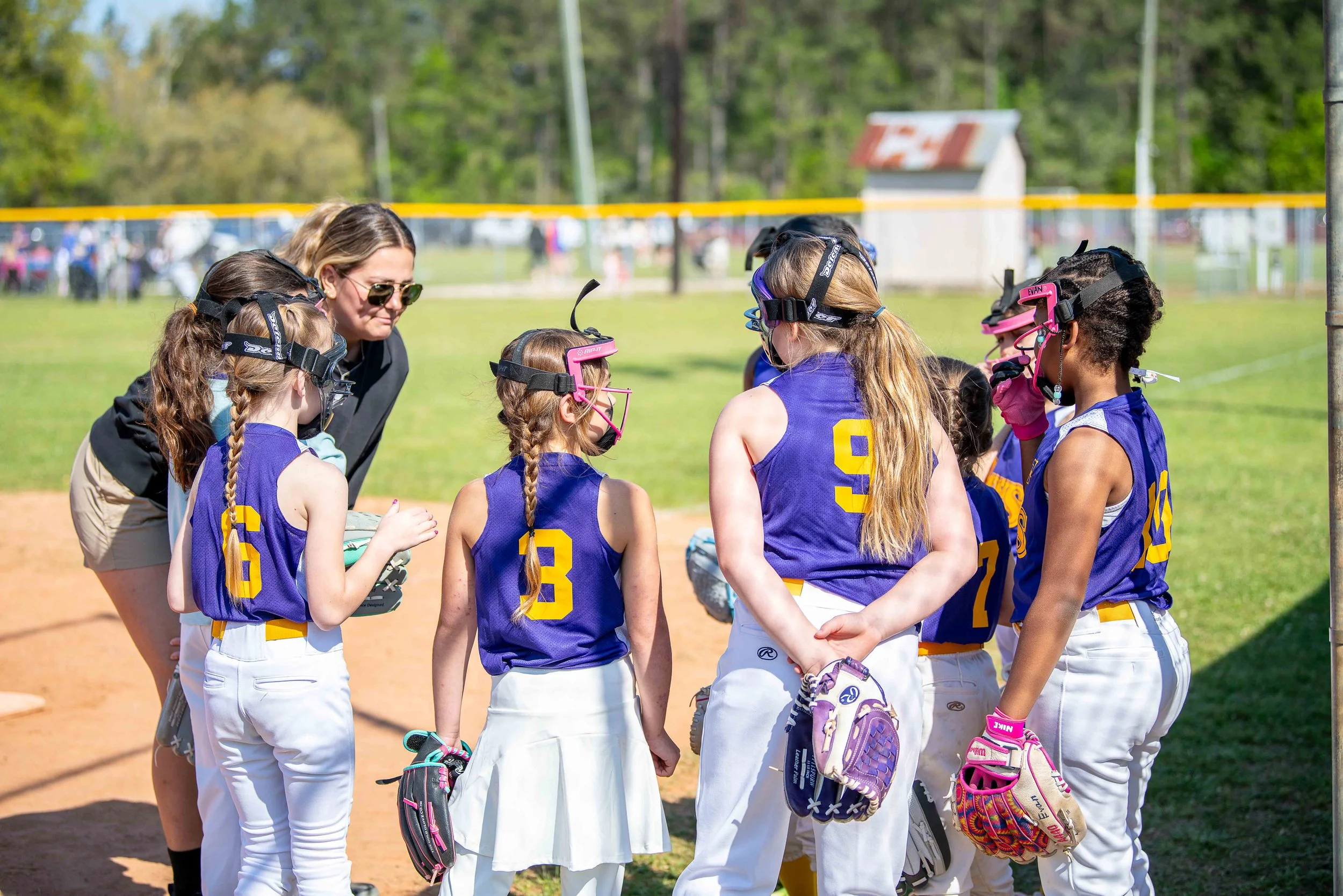 Softball Team Sponsor