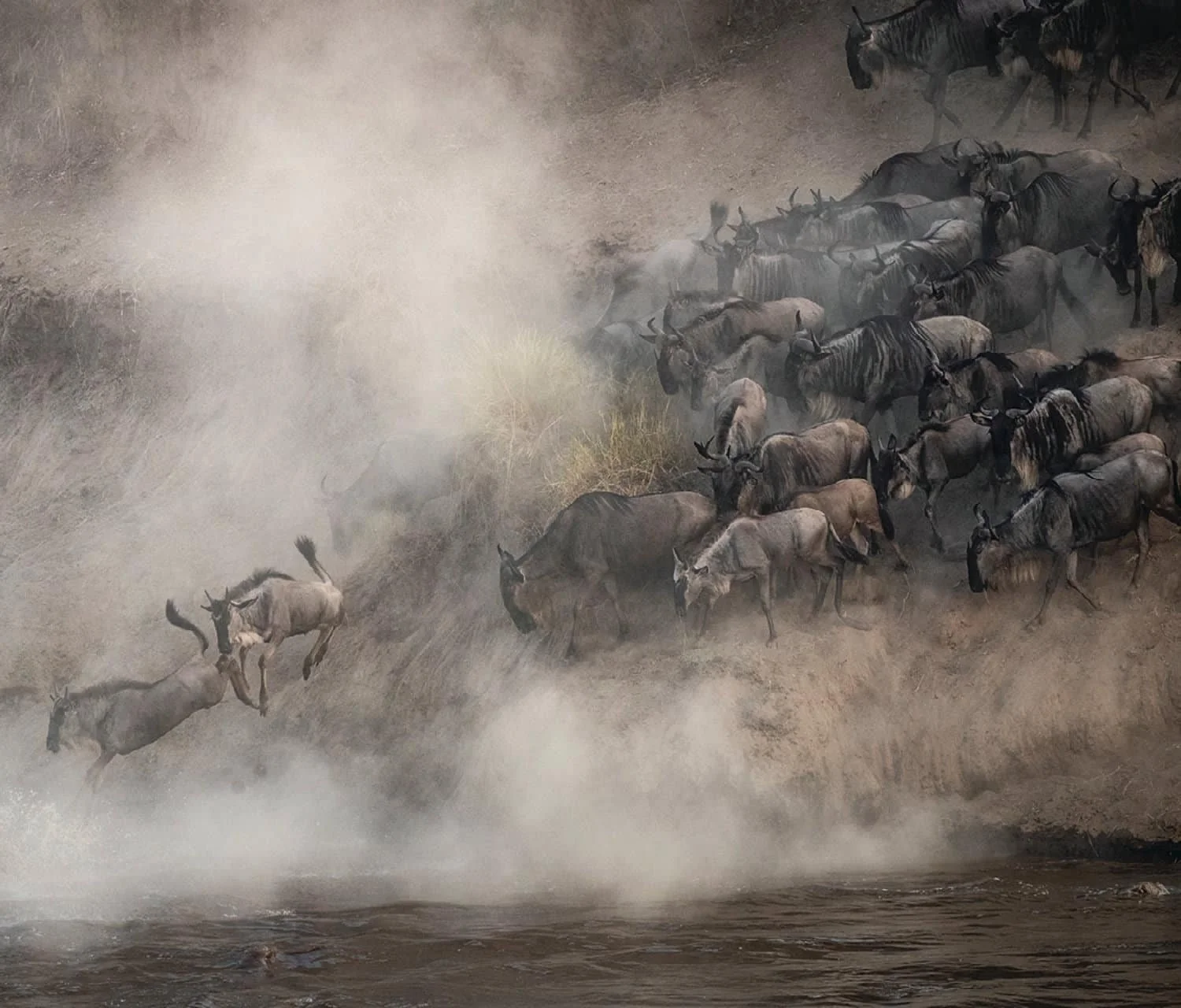 Great Wildebeest Migration