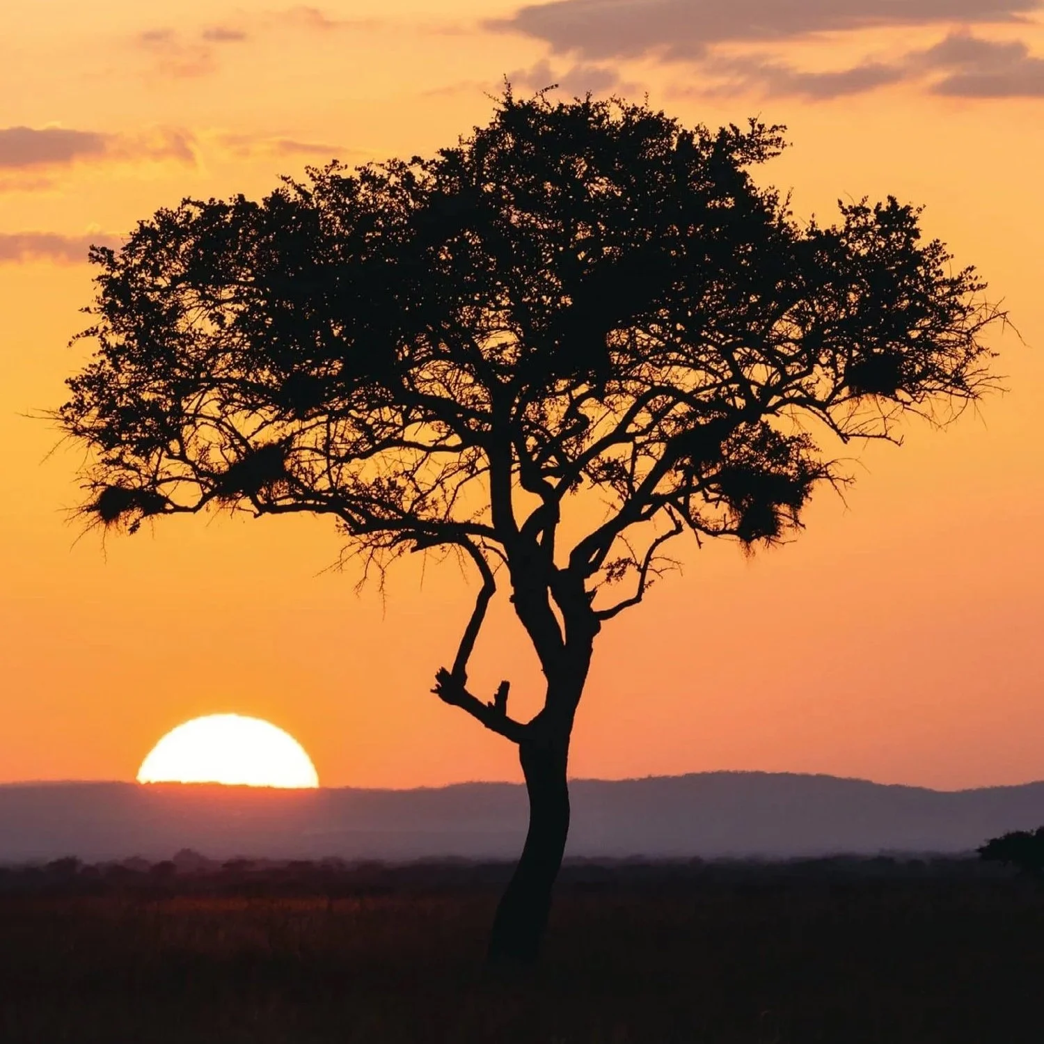 beautiful African sunset