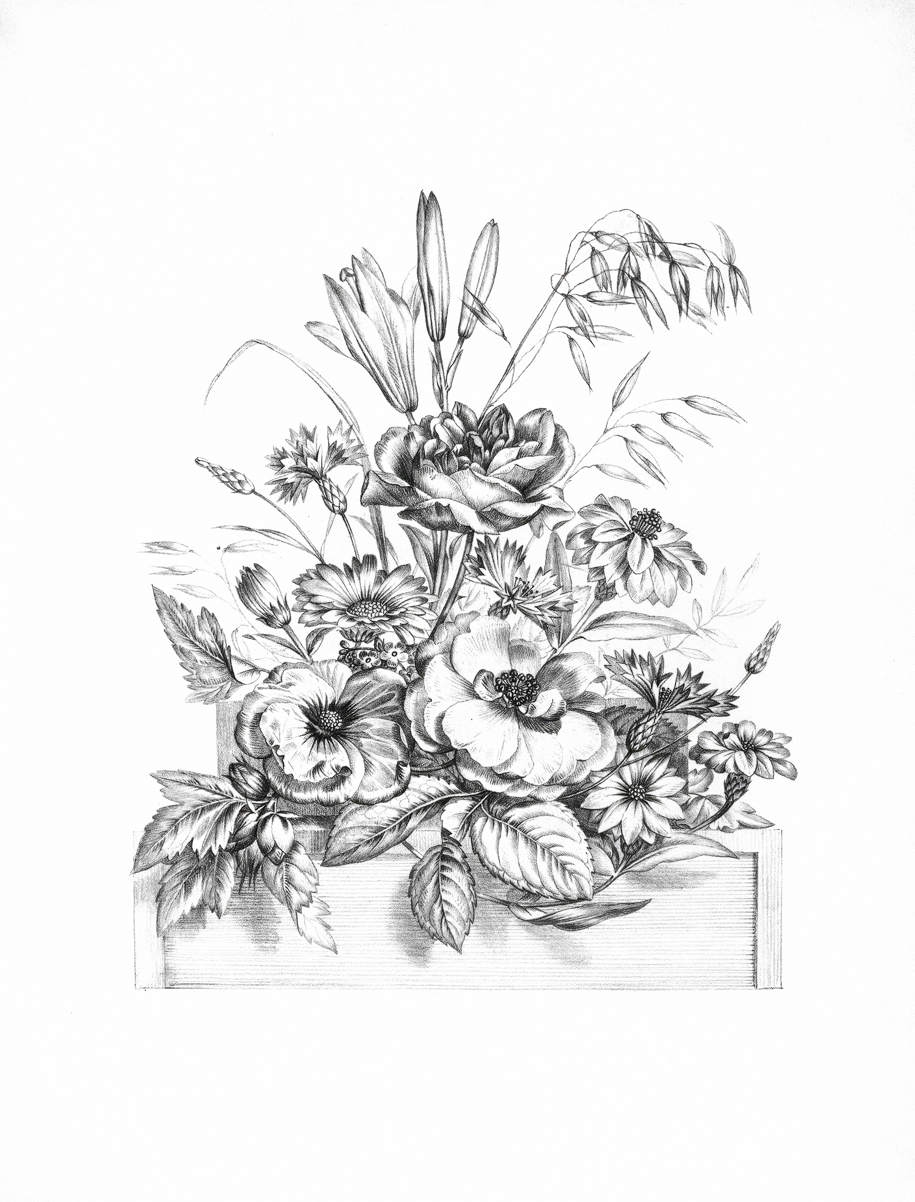 A detailed pencil sketch illustration of a bouquet of various flowers in a basket.