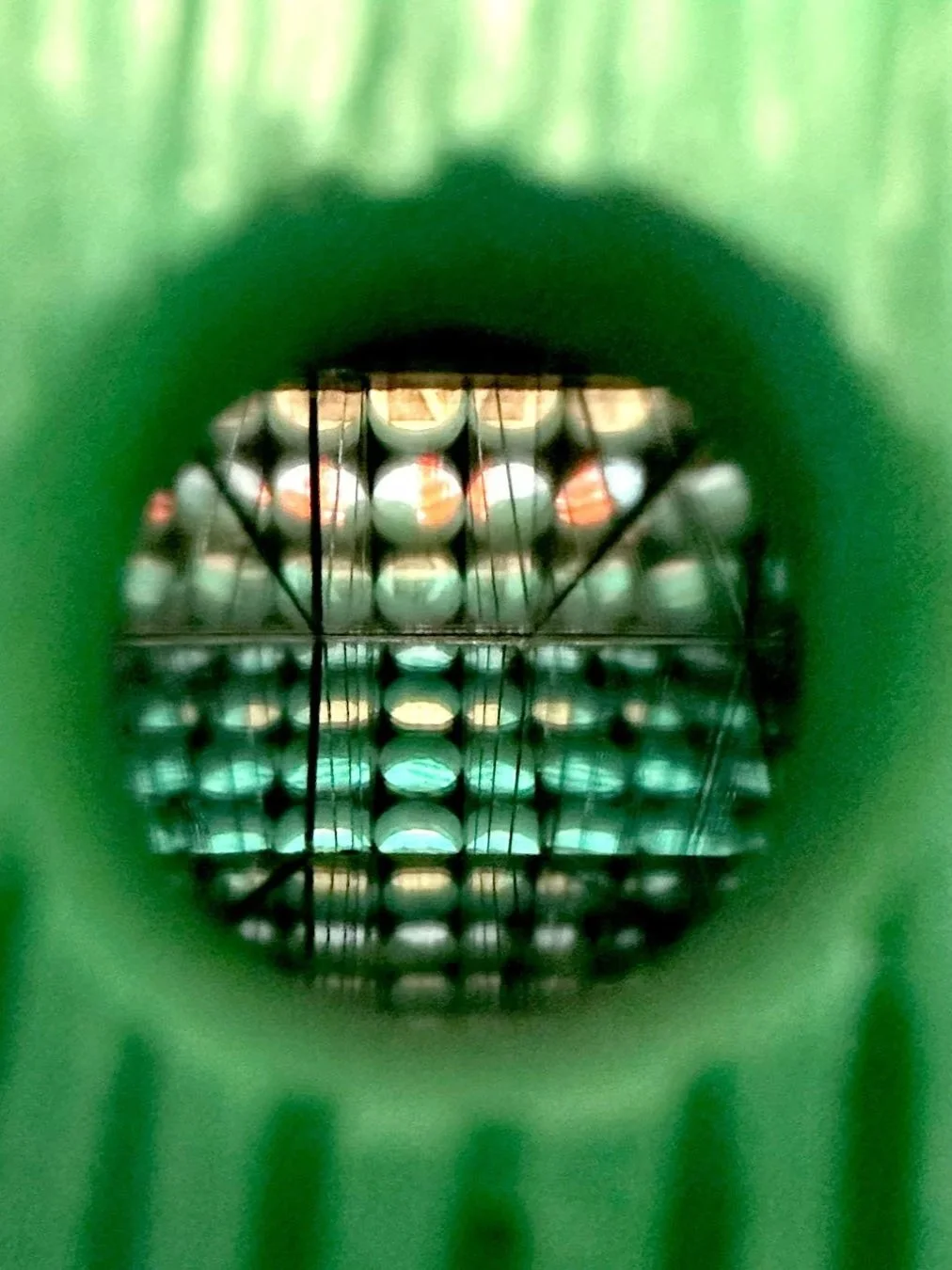 010.jpg
