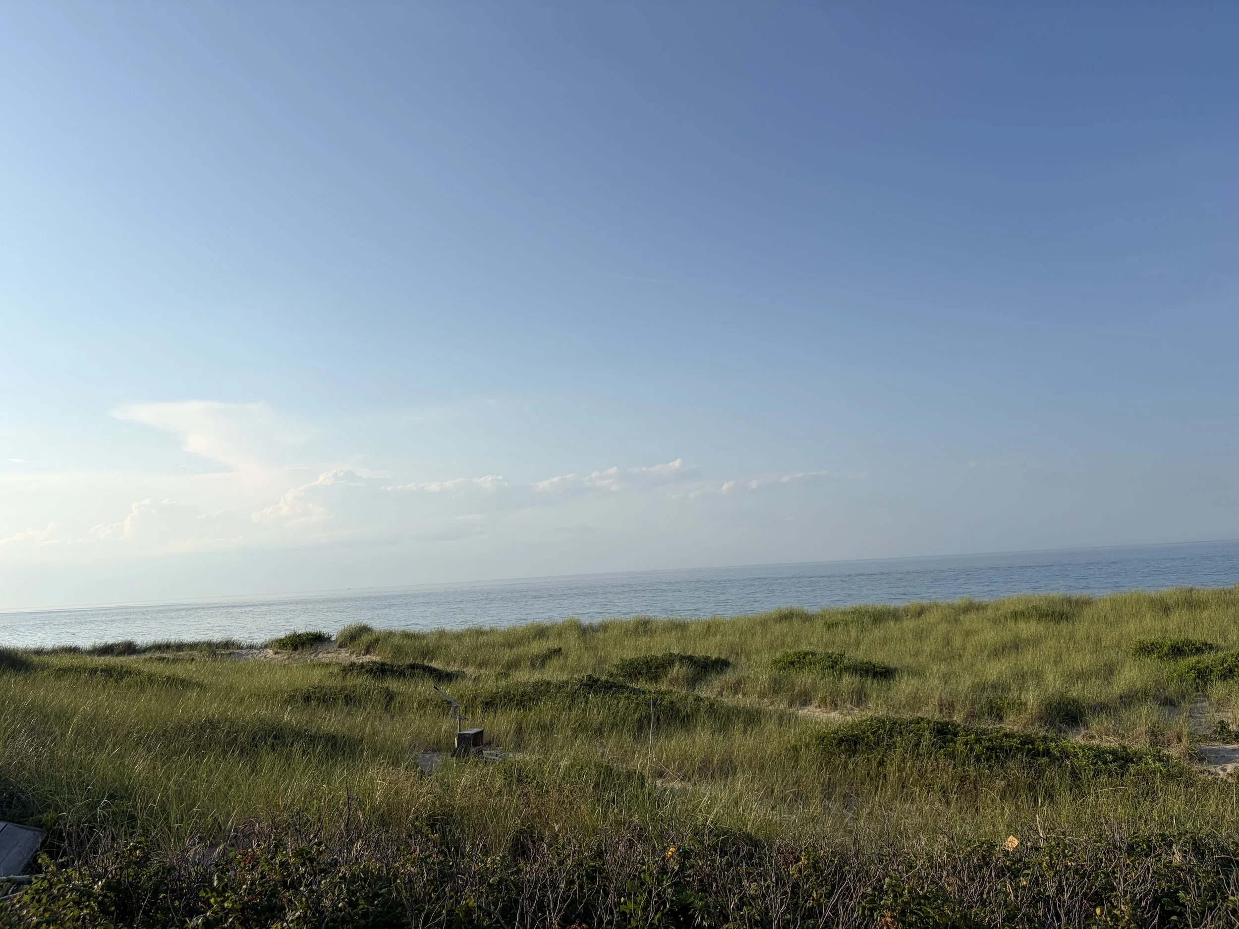 Scenic view of a grassy coastline beside the ocean with a clear blue sky overhead.